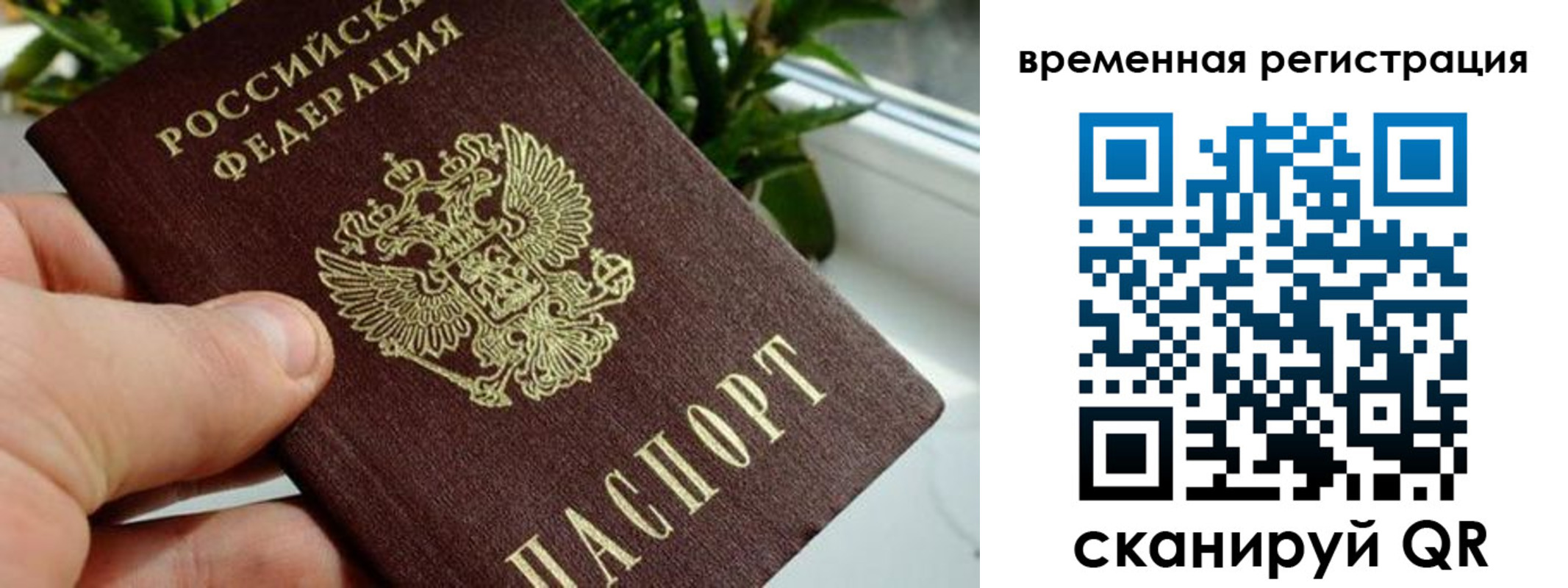 прописка поиск в Находке
